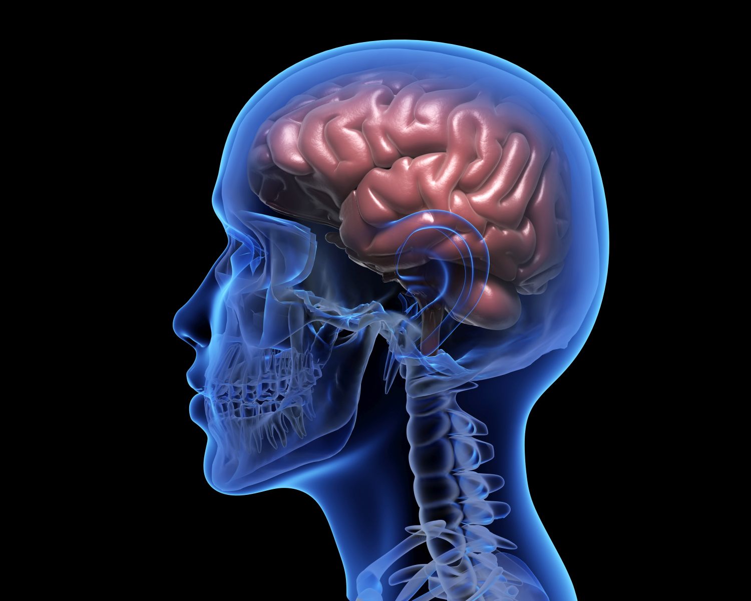 Quais São os Melhores Métodos para Reprogramação Mental?
