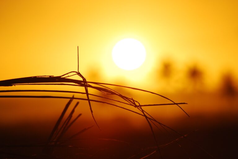 Variação na temperatura: semana terá dias frios e dias quentes