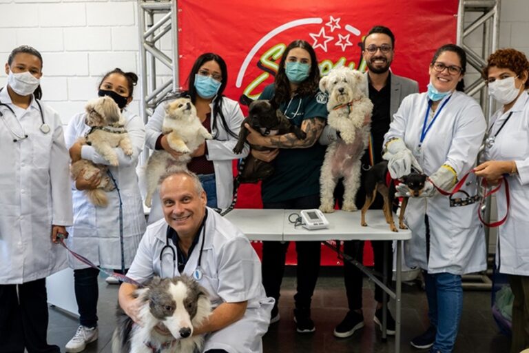 Inscrições para o curso de Auxiliar de Veterinário na Escola Pet estão abertas em Taboão