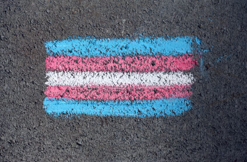  Taboão da Serra acerta ao promover ações inclusivas à população LGBTQIA+