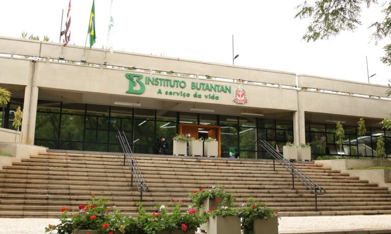 Instituto Butantan começa a desenvolver vacina contra gripe aviária