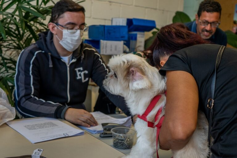 Mutirão Castra Pets: Taboão da Serra promove mais uma edição no sábado, 26