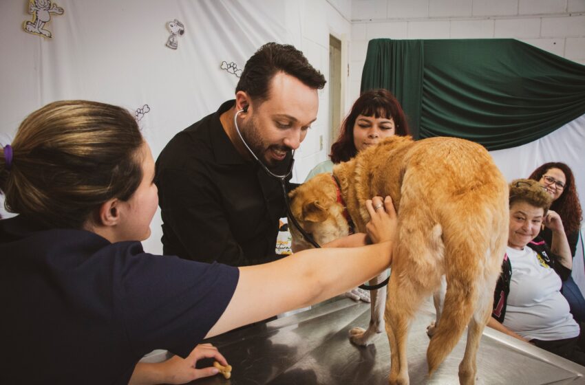  Escola Pet de Taboão lança Programa Pet Modelo; veja como funciona