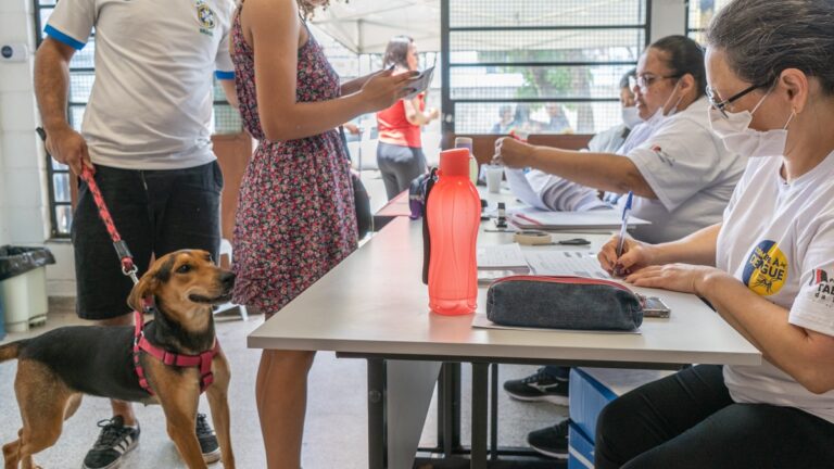 Taboão: CCZ realiza mutirão de castração no sábado, 11