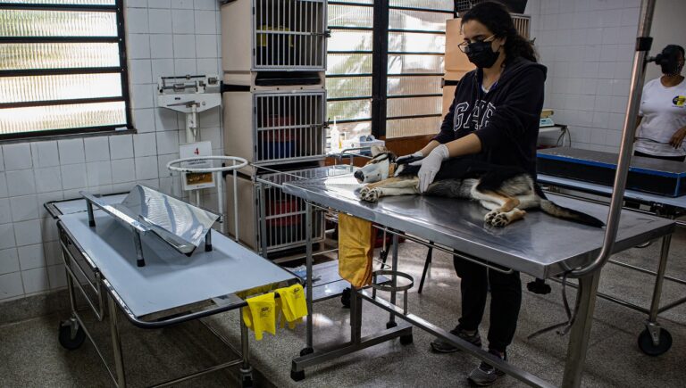 Centro de Controle Zoonoses realizará Mutirão Castra Pets neste sábado, 03