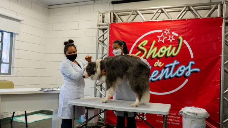 Tutores de Taboão da Serra podem cadastrar cães para serem modelos da Escola de Estética Animal