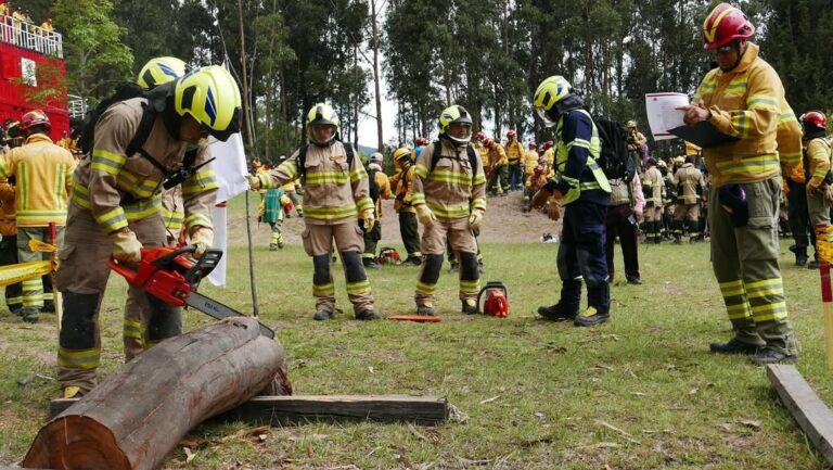 Decreto de Trump suspende apoio dos EUA ao Brasil no combate a incêndios florestais